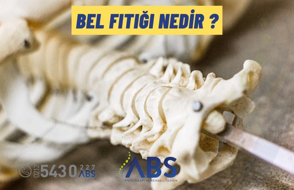 Bel Fıtığı Nedir