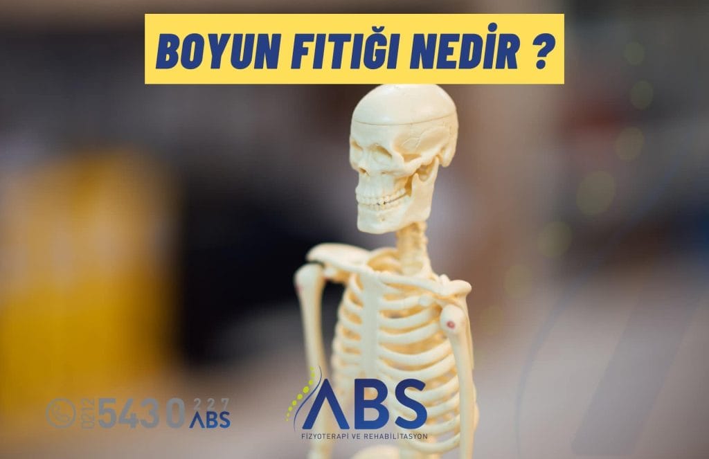 Boyun Fıtığı Nedir