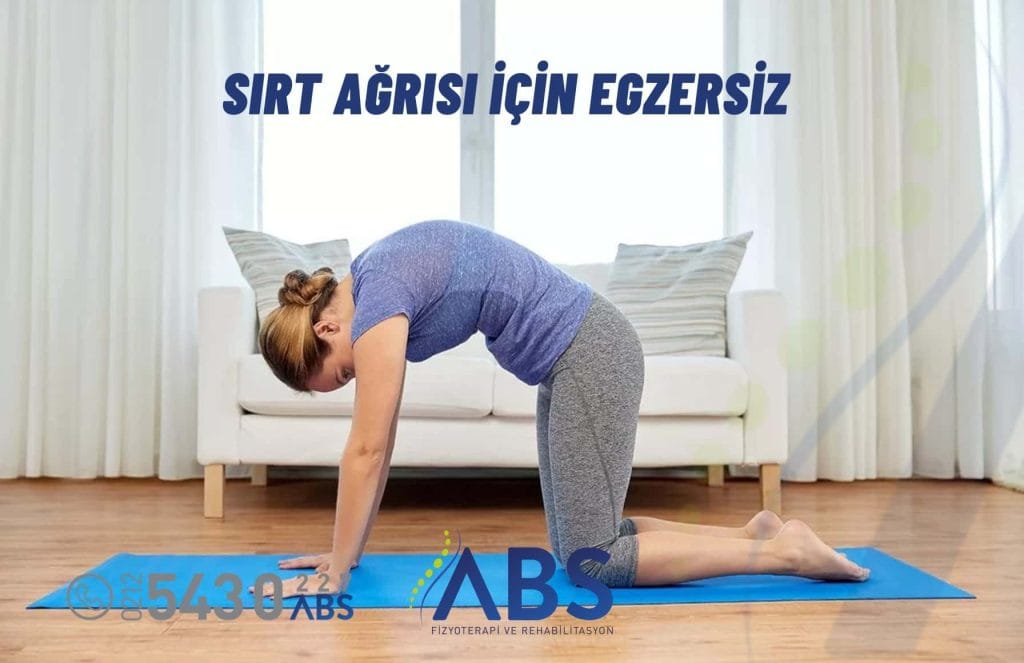 Sırt Ağrısı İçin Egzersiz