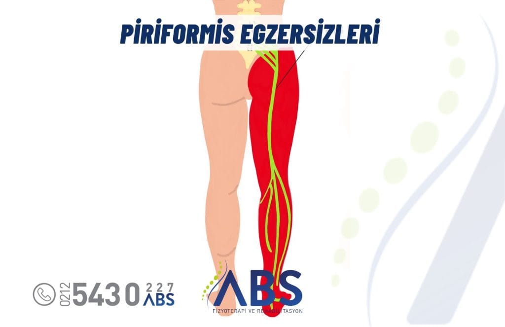 Piriformis Egzersizleri
