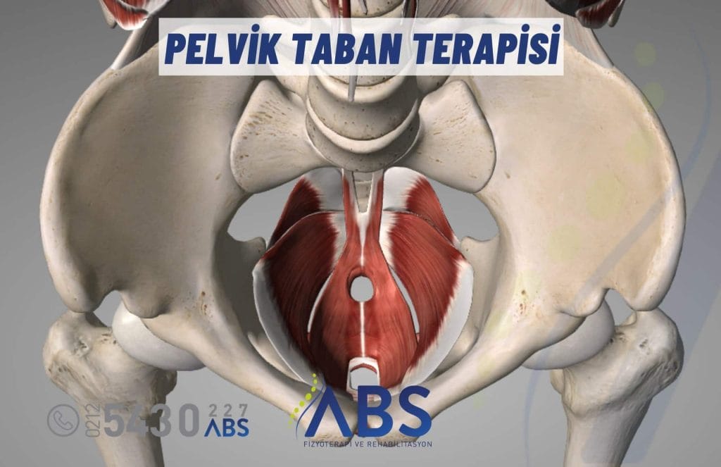 Pelvik Taban Terapisi