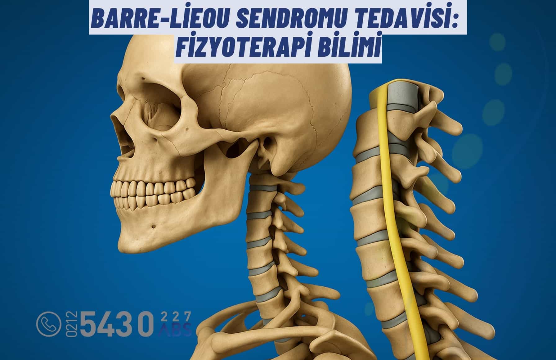 Barre-Lieou Sendromu Tedavisi: Fizyoterapi Bilimi