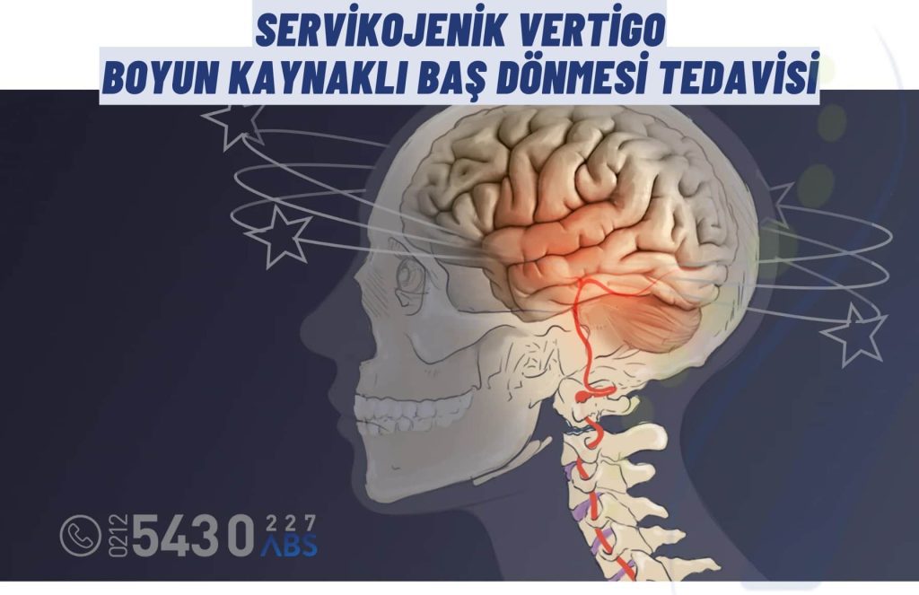 Servikojenik vertigo, boyun kaynaklı baş dönmesi ve üst servikal omurga ilişkisi – fizyoterapi bakış açısı