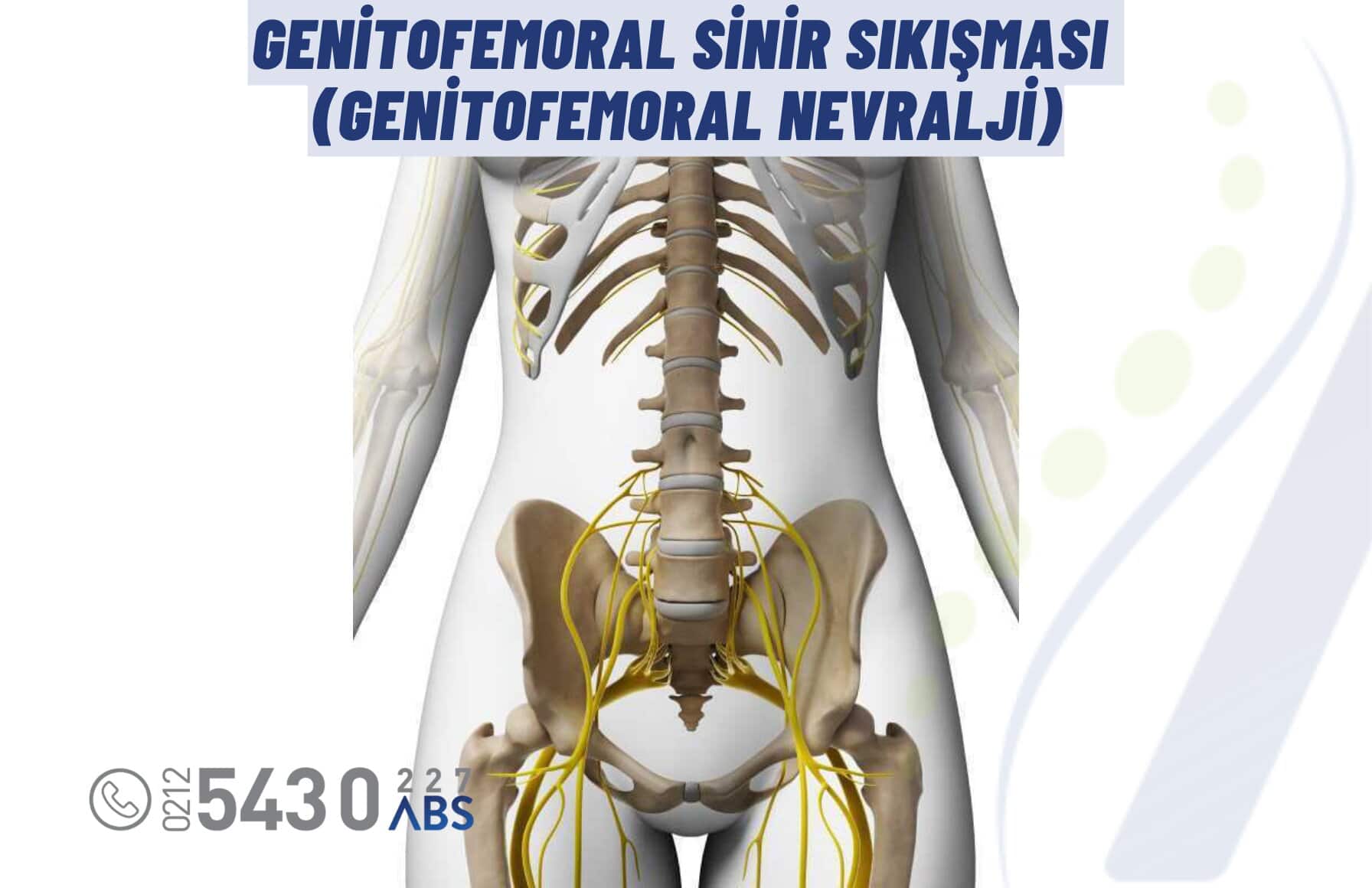 Genitofemoral Sinir Sıkışması (Genitofemoral Nevralji): Kasık ve Uyluk Ağrısının Nörolojik Nedeni